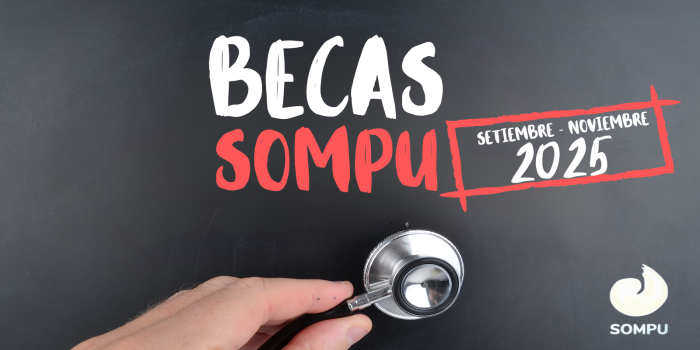 Becsa 2025