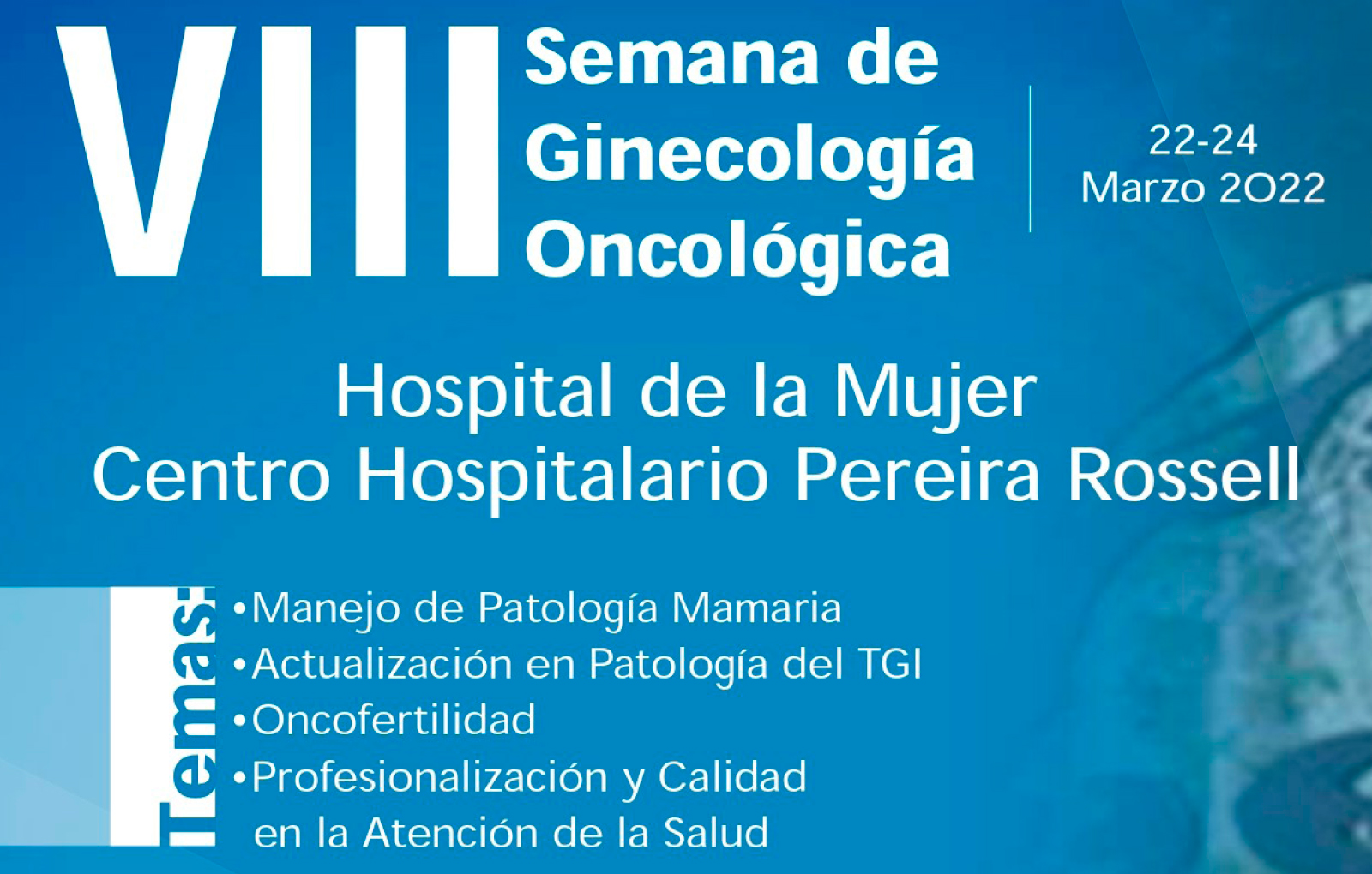 VIII Semana de Ginecología Oncológica