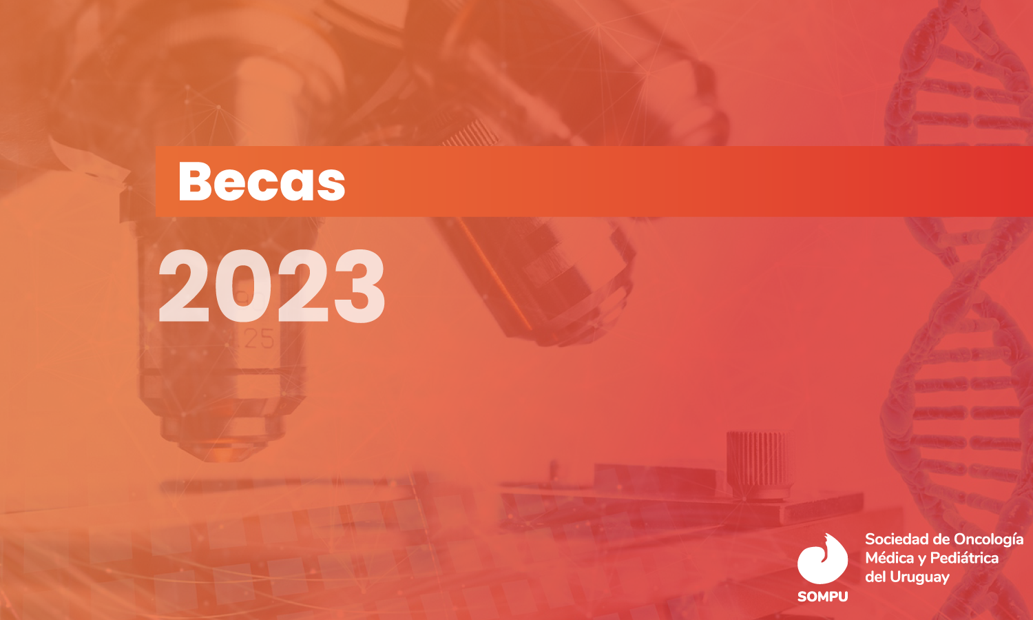 Becas 2023