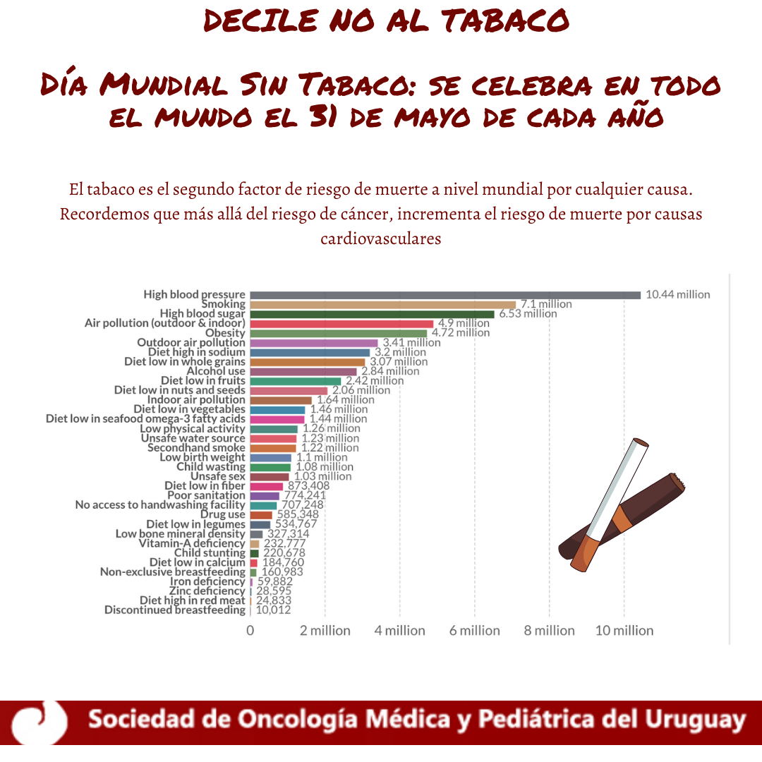 Gráfica con factores de riesgo, entre los que el cigarrillo es el segundo.